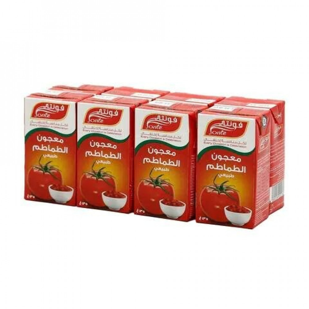 Rivoni tomato paste 48 * 135