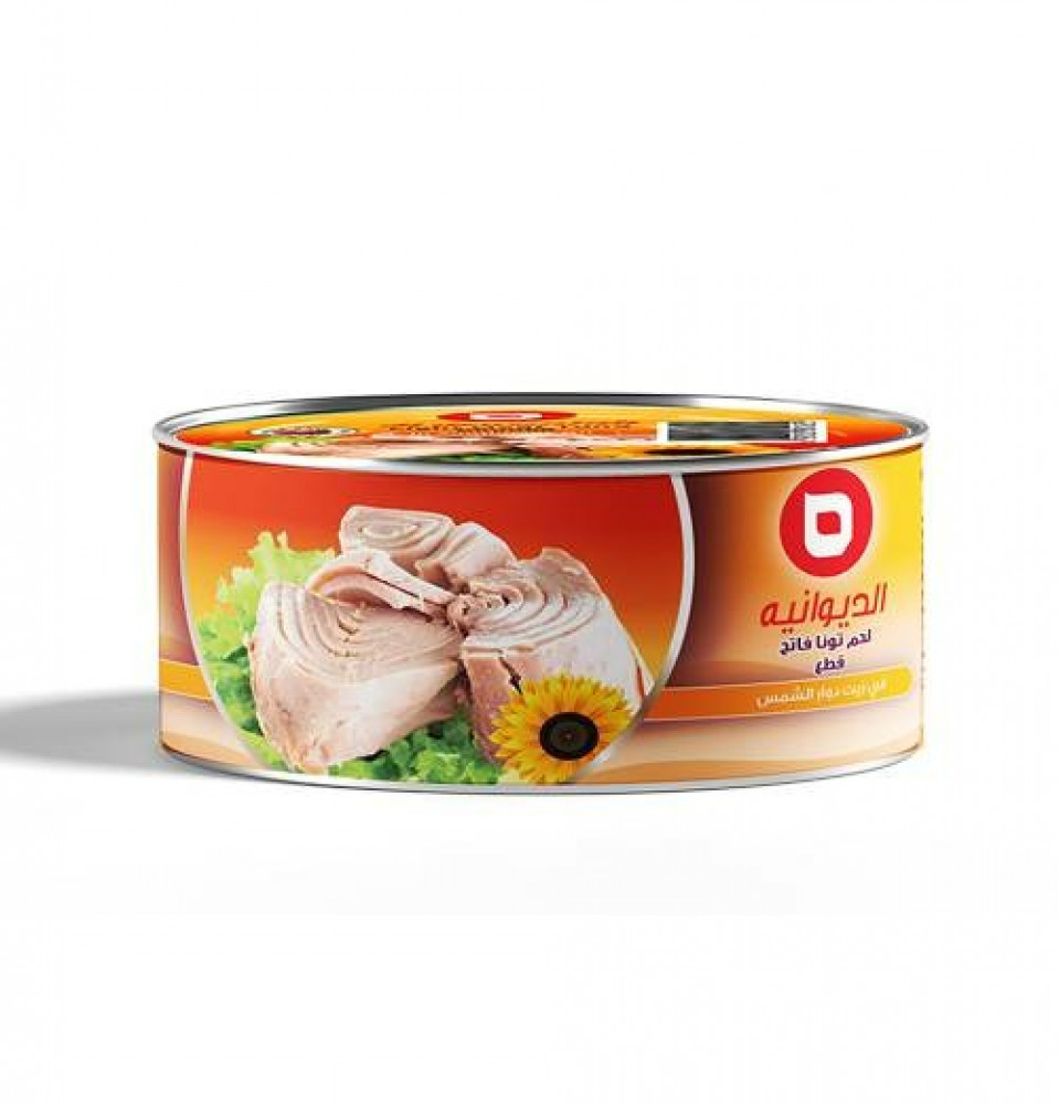 Diwaniya tuna pieces 160 g * 48