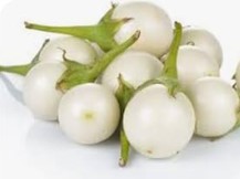 Eggplant White