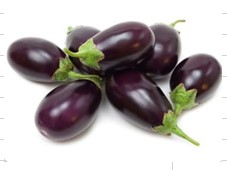 Eggplant Round