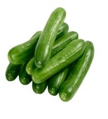 Cucumber