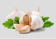 Al qassim garlic