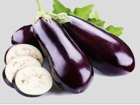 Al qassim eggplant