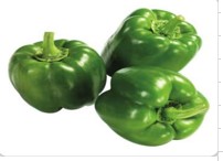 Al qassim pepper green