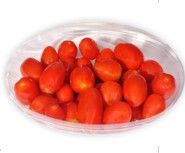 Al qassim tomoto cherry
